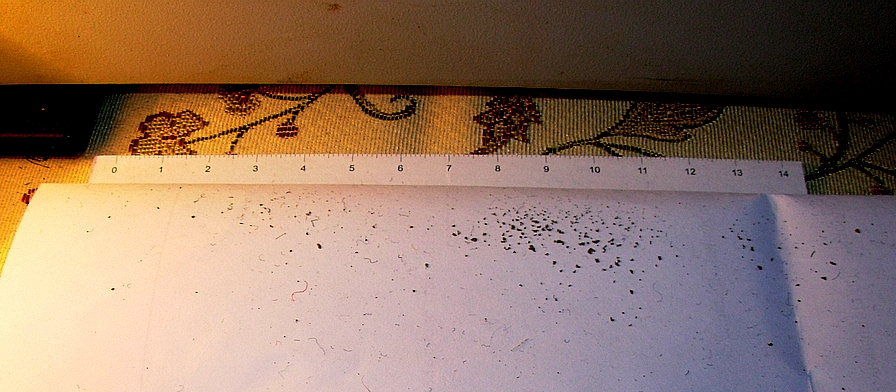 Maham&auml;ngimisel irdub magneetuva kihi t&uuml;kke